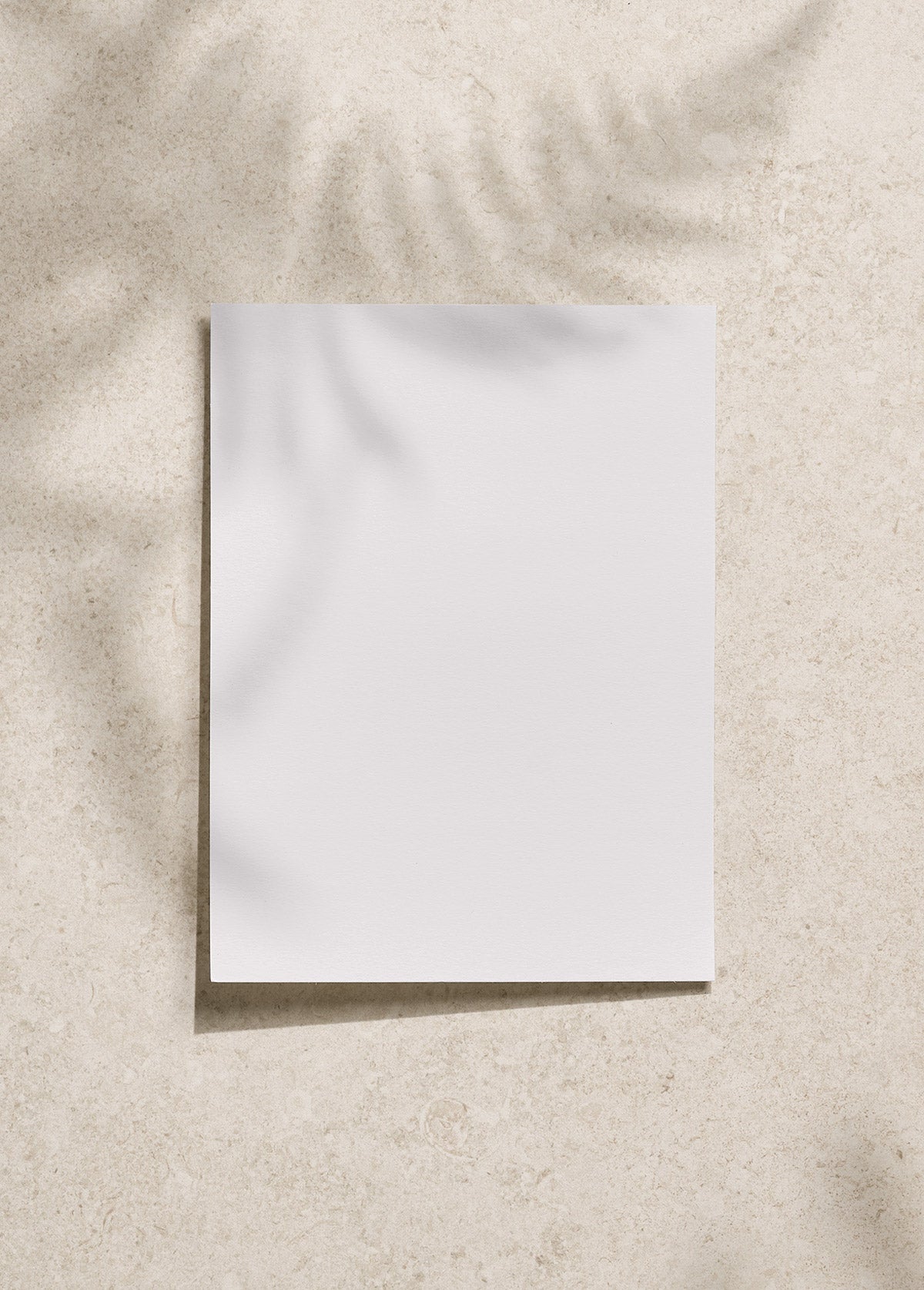 Carrelage effet pierre Eterea Avorio 122,2x122,2 cm