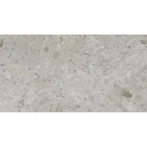 Carrelage Ambrosia Grey 60x60 Natural - 1.08 m² par colis