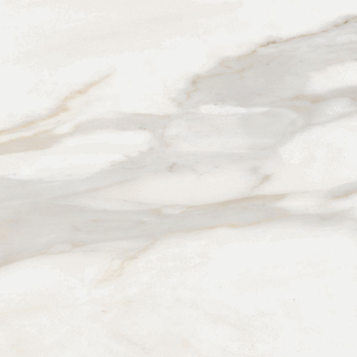 Carrelage effet marbre White Marble Calacatta Oro 61x61 cm