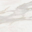 Carrelage effet marbre White Marble Calacatta Oro 122,2x122,2 cm