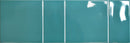 Carrelage à motif décoratif Capri Teal 15x45 cm