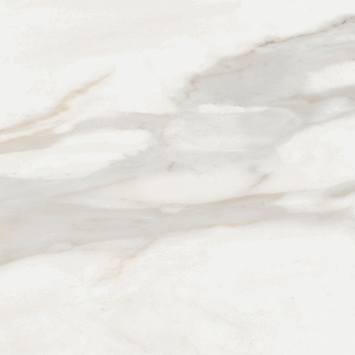 Carrelage effet marbre White Marble Calacatta Oro 61x61 cm