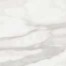Carrelage effet marbre White Marble Calacatta Oro 122,2x122,2 cm