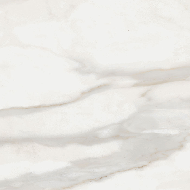 Carrelage effet marbre White Marble Calacatta Oro 122,2x122,2 cm