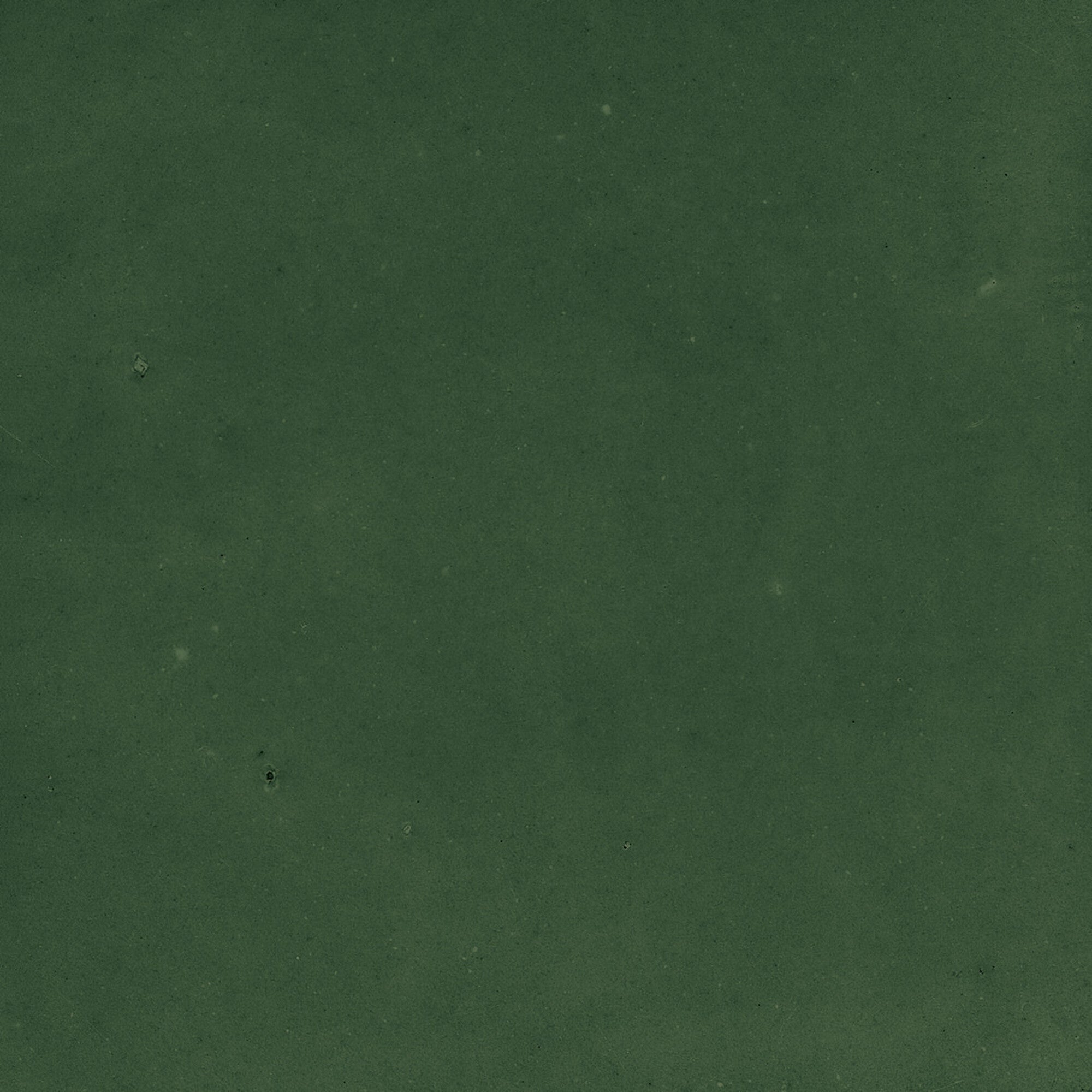 Samira green 10x10 - 0.60 m² par colis