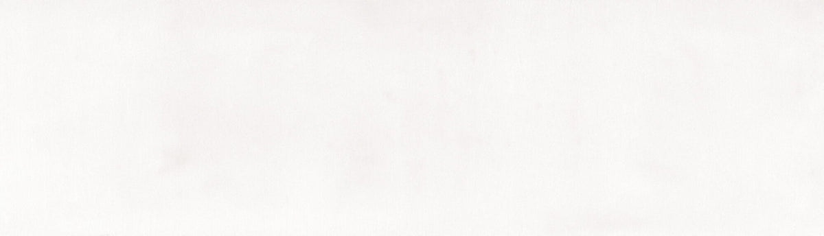 Carrelage mural Siena White brillant 6,4x22,3 cm