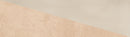 Carrelage décor Siena Sand Décor brillant 6,4x22,3 cm