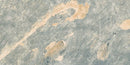 Carrelage piscine effet pierre Bali Green 29,5x60 cm