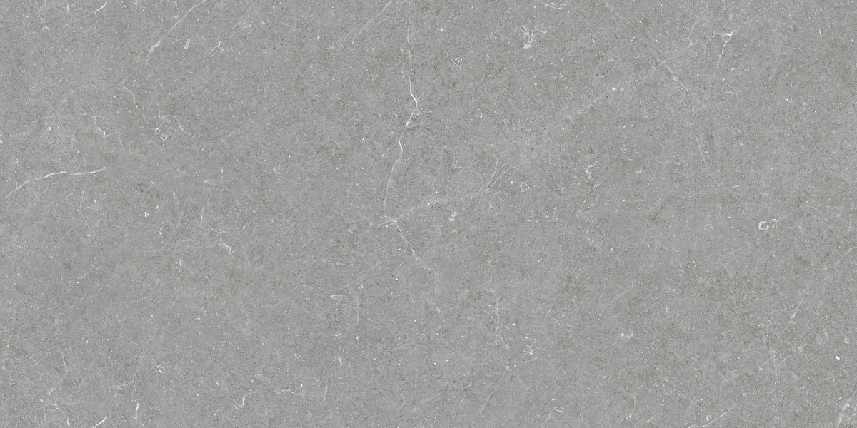 Carrelage effet pierre Bergstein Grey mat 60x120 cm