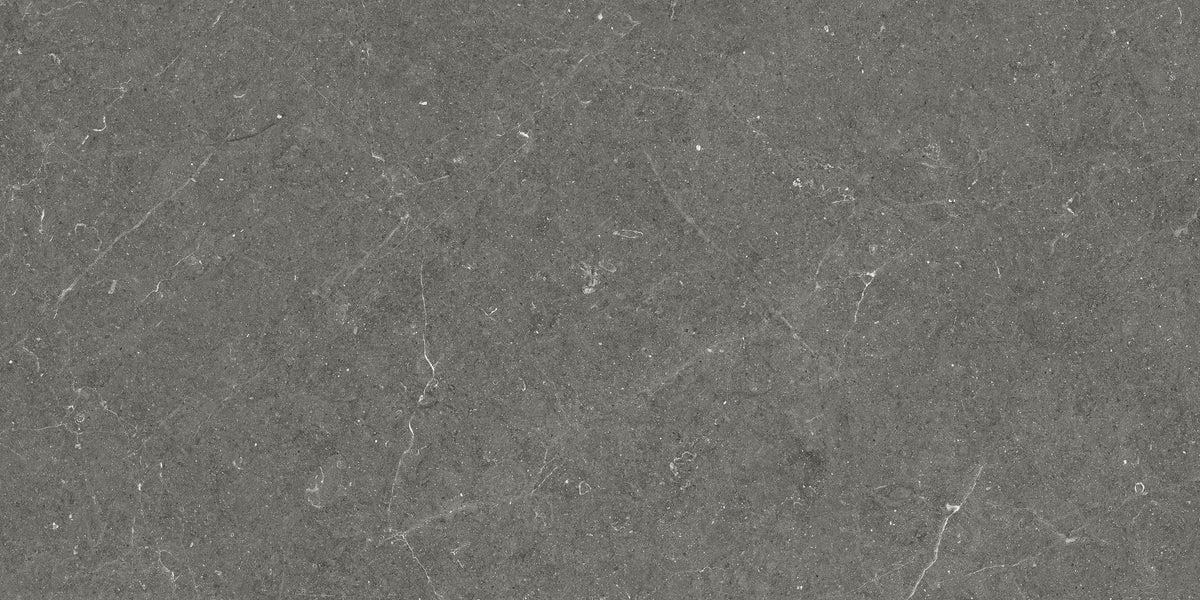 Carrelage effet pierre Bergstein Dark mat 60x120 cm