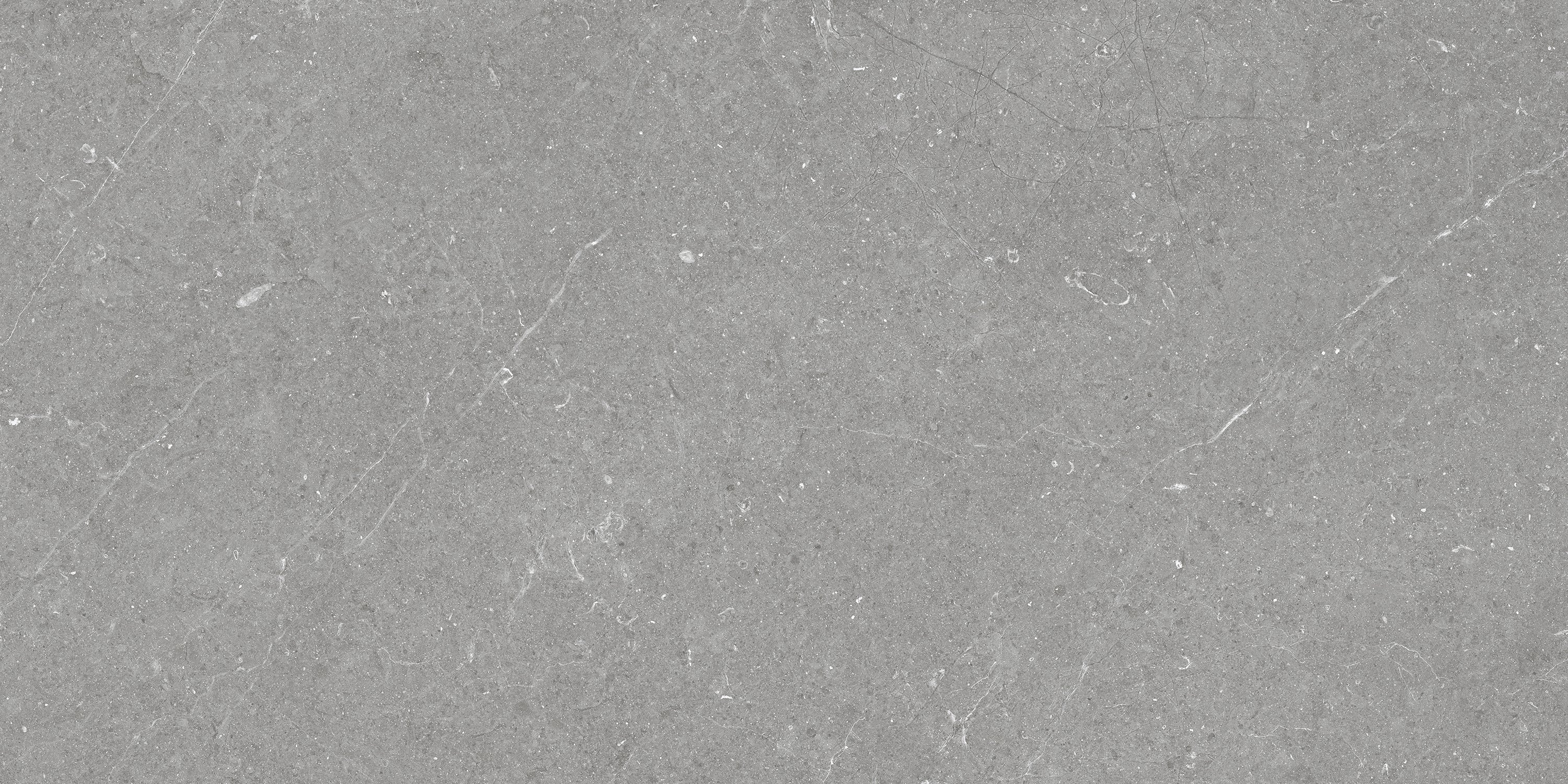 Carrelage effet pierre Bergstein Out Grey mat antidérapant 60x120 cm