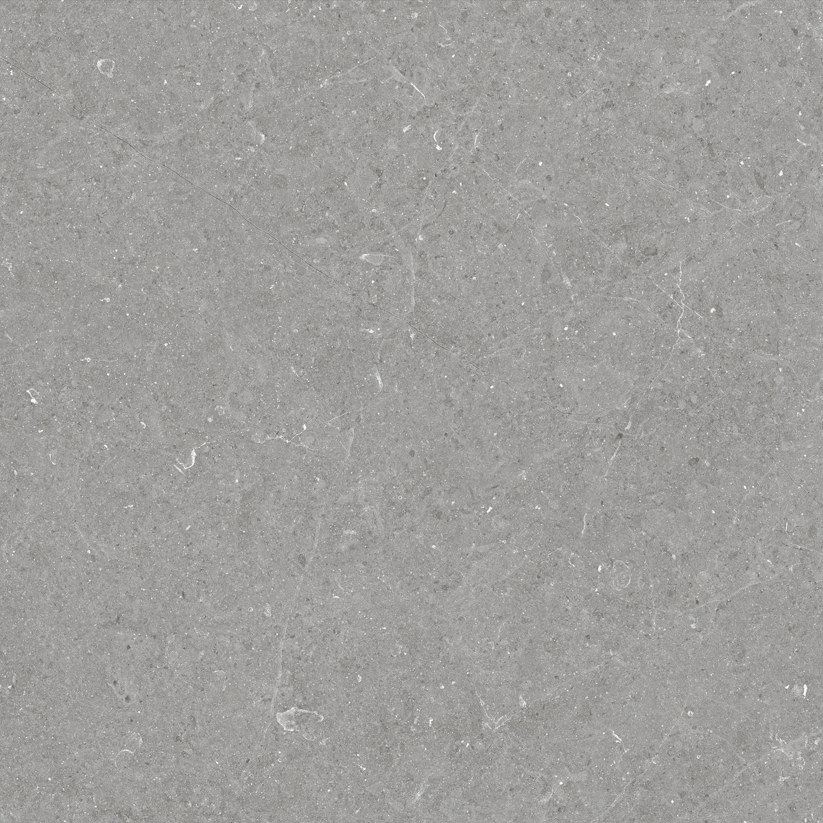 Carrelage effet pierre Bergstein Grey mat 60x60 cm