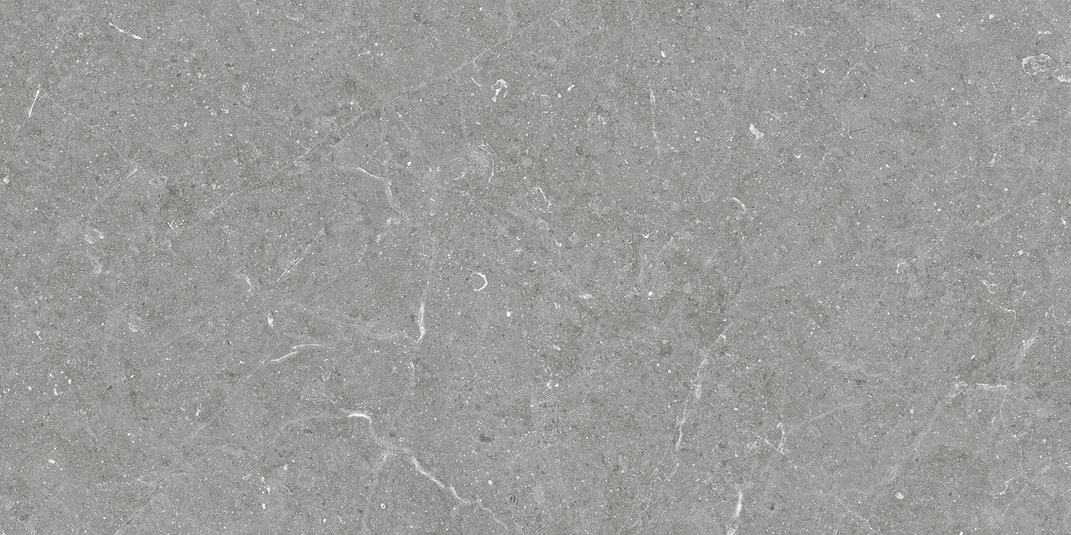 Carrelage effet pierre Bergstein Grey mat 30x60 cm