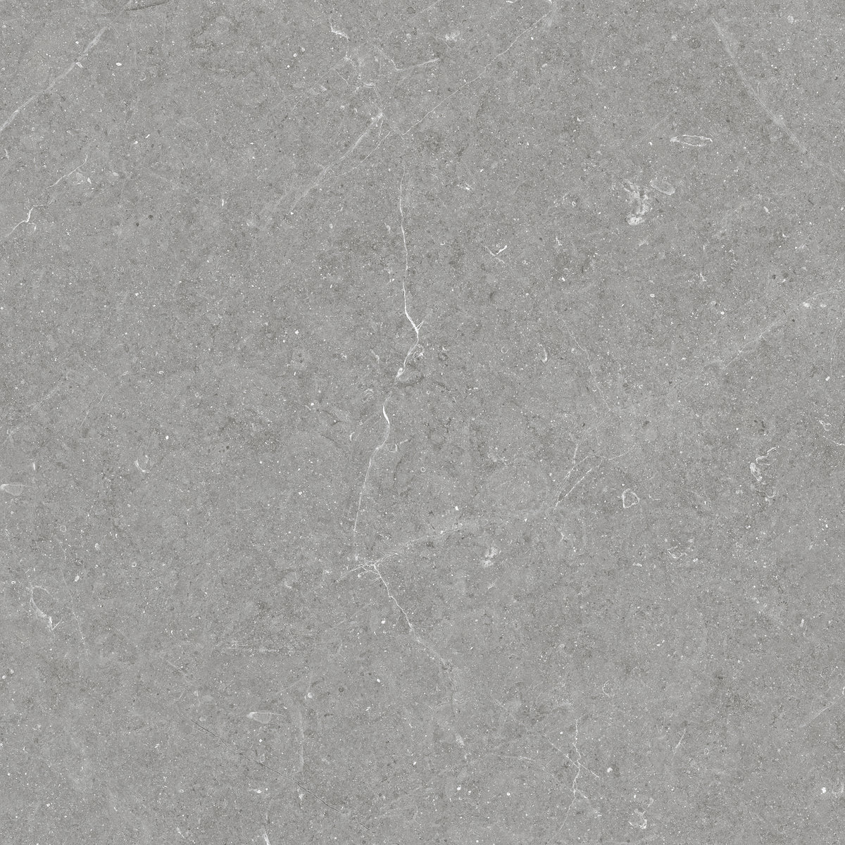 Carrelage effet pierre Bergstein Out Grey mat antidérapant 60x60 cm