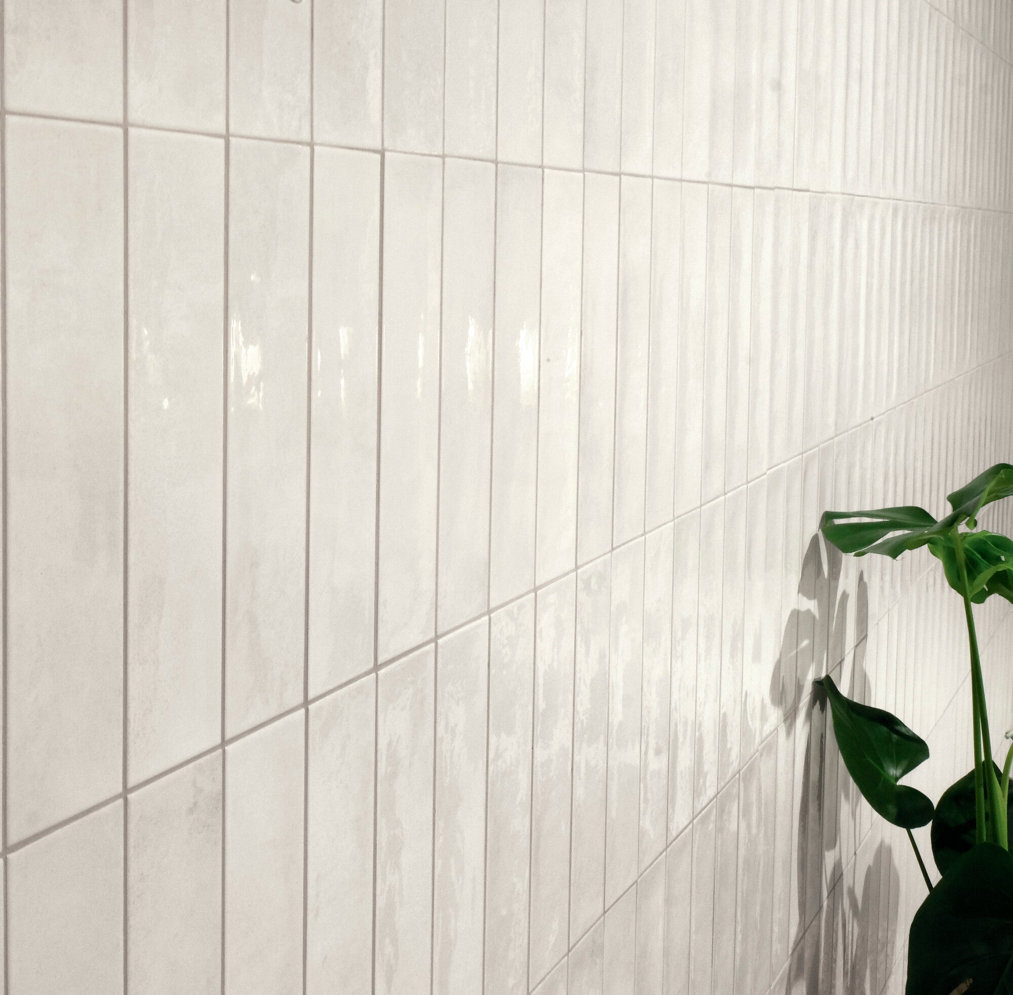 Faïence murale brillante Bari White 6x24,6 cm