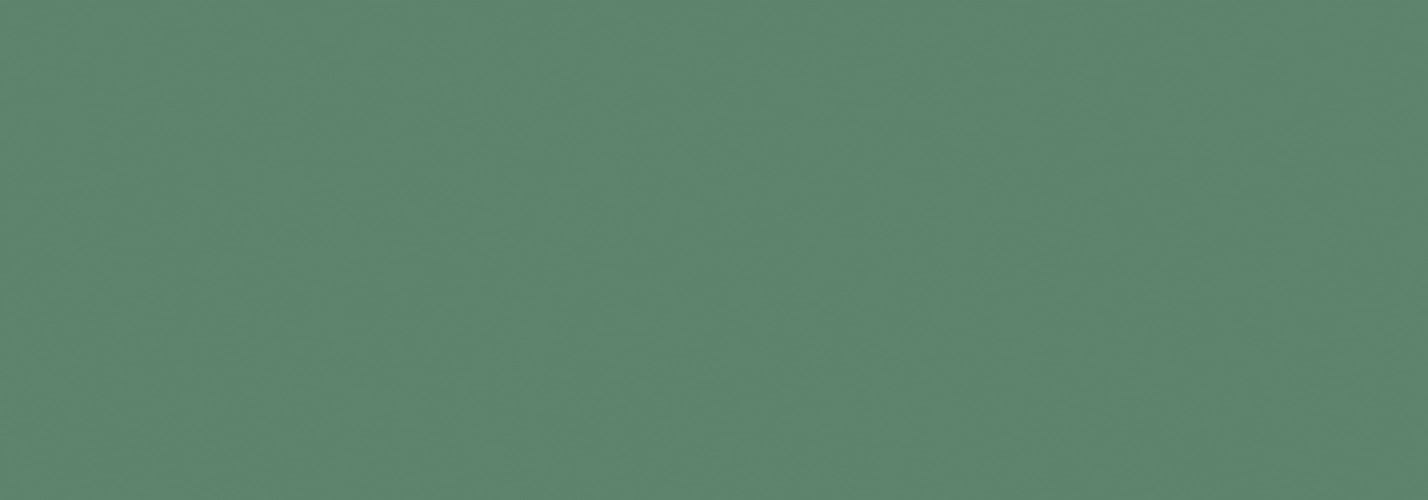 Genesis Green Matt 35x100 - 1.05 m² par colis