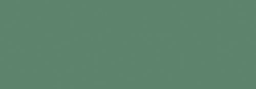 Genesis Green Matt 35x100 - 1.05 m² par colis