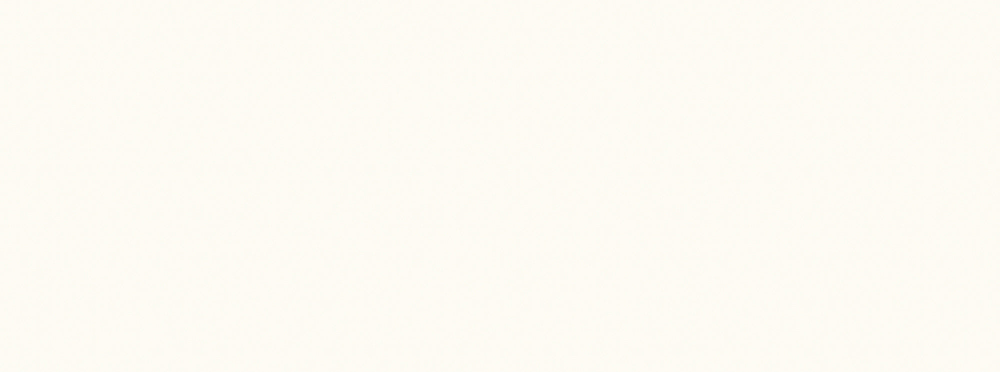 Genesis White Matt 35x100 - 1.05 m² par colis