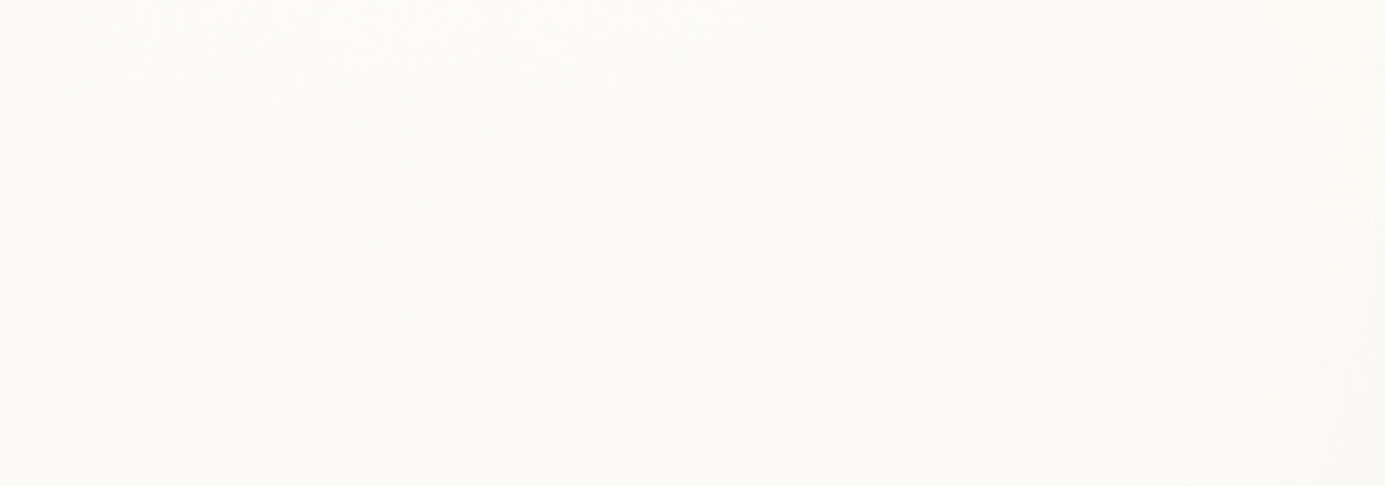 Genesis Light Branco Brilho 35x100 - 1.05 m² par colis