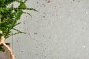 SENSA GREEN : carrelage effet micro terrazzo mat 90x90