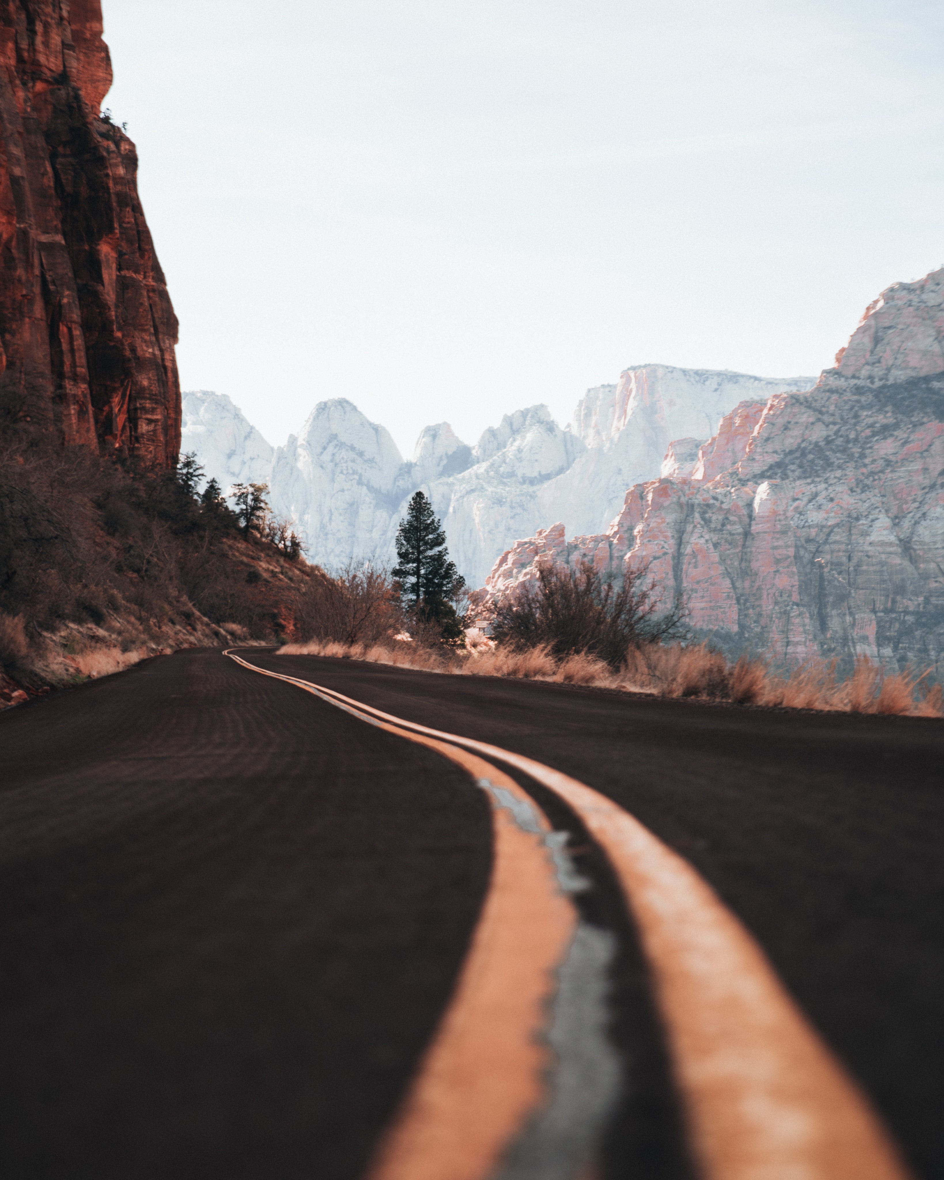curvy-canyon-highway-close-up.jpg