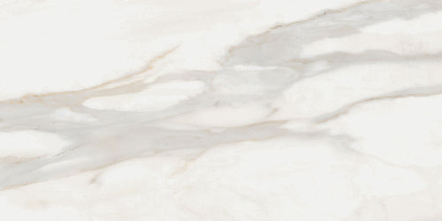Carrelage effet marbre White Marble Calacatta Oro 122,2x122,2 cm