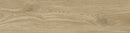 Carrelage effet bois Woodland River Brown 26x160 cm